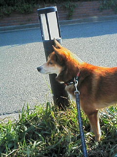 200611040848000.jpg