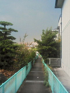 200611070830000.jpg