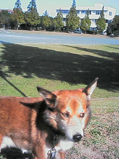 200611151016000.jpg