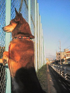 200612030725000.jpg