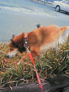 200612070752000.jpg