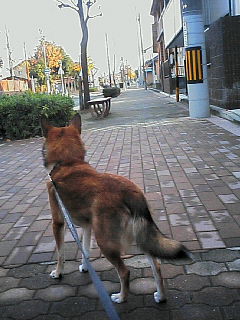 200612150832000.jpg