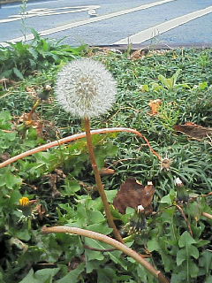 200612170826000.jpg